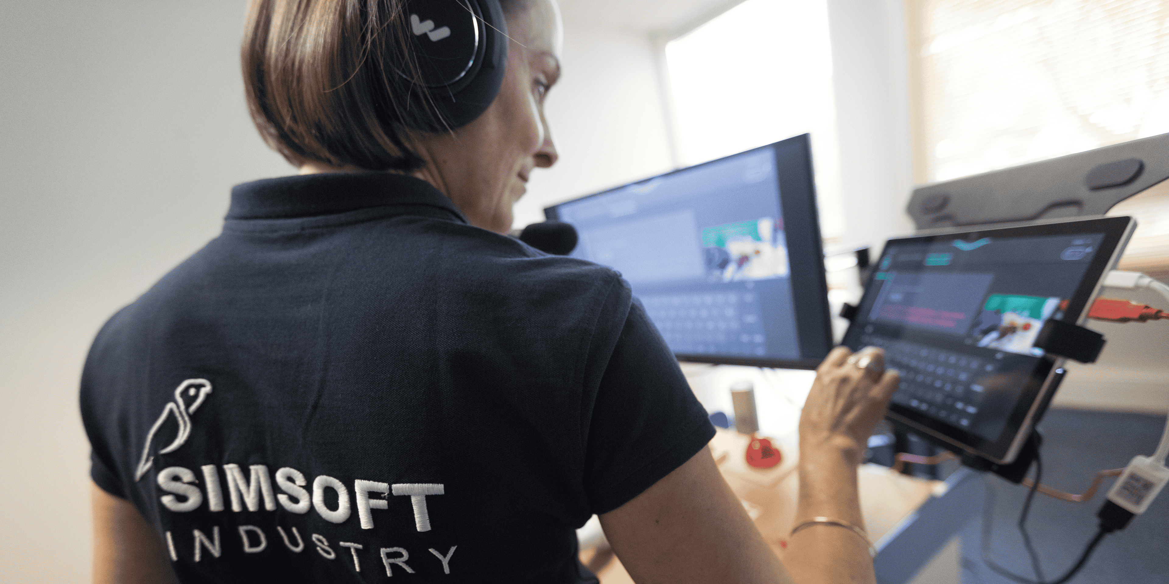 simsoft industry