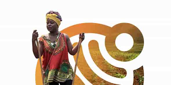 Le projet Kilimo, remporté suite à un appel à projet du gouvernement kenyan, a pour ambition d'apporter des outils d'aide à la décision pour optimiser la production de maïs tout en limitant l'apport d'intrants.