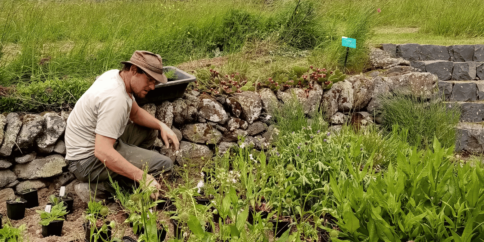Filière "Végétal local"