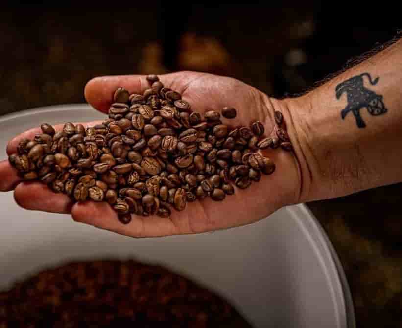 Cafés Indien