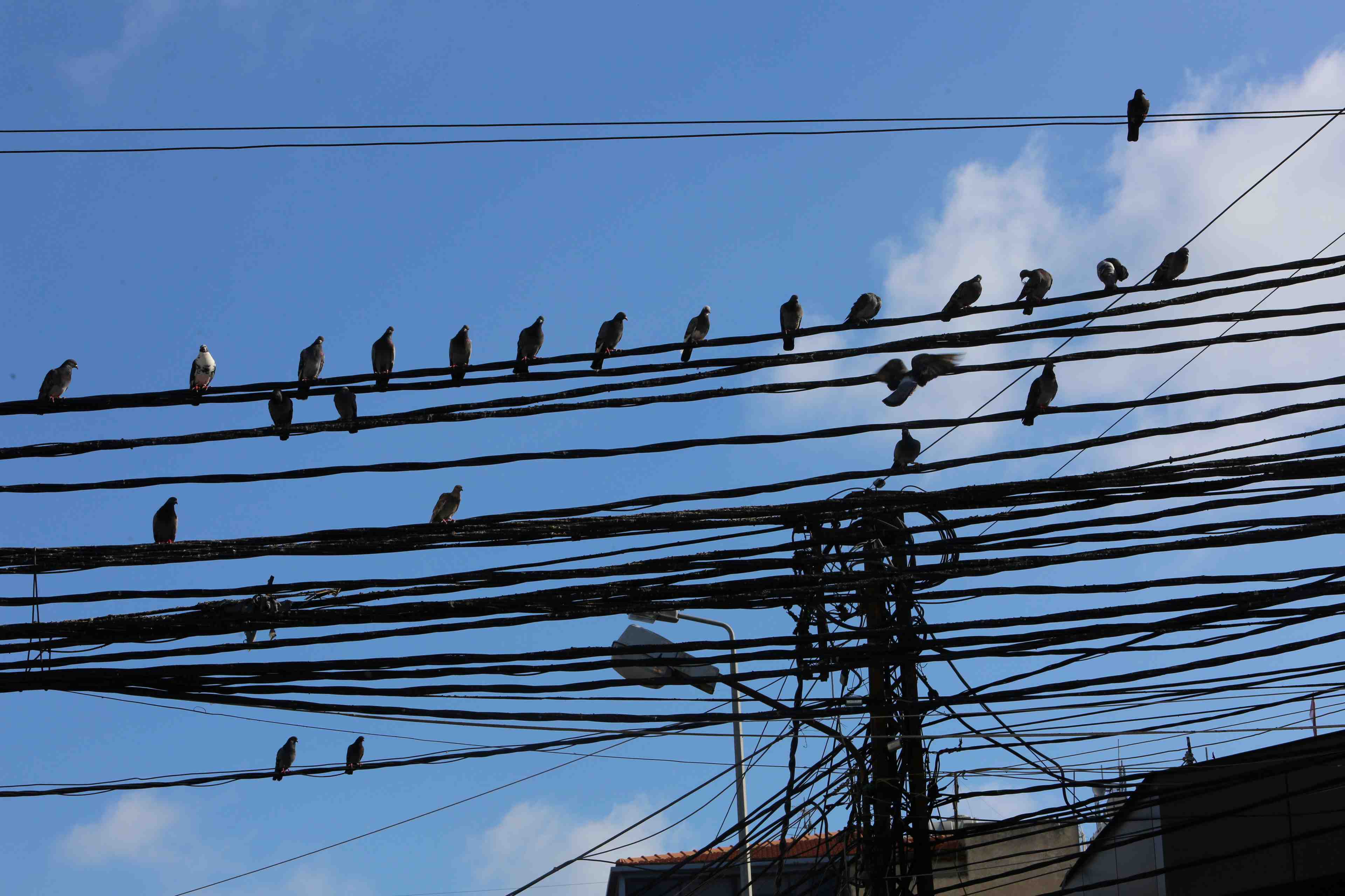 L'electricite retablie au liban