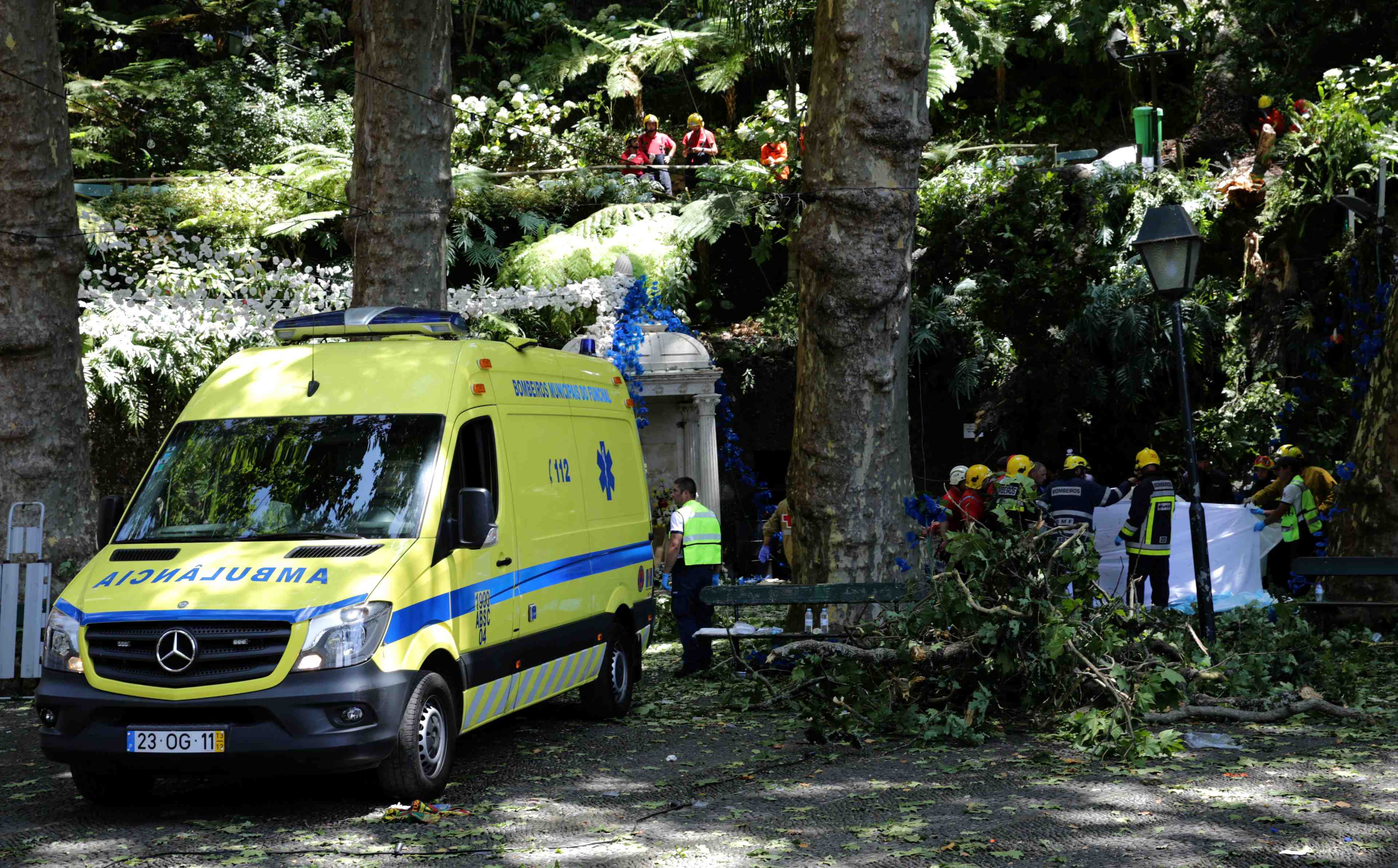 La chute d'un arbre fait 12 morts a madere
