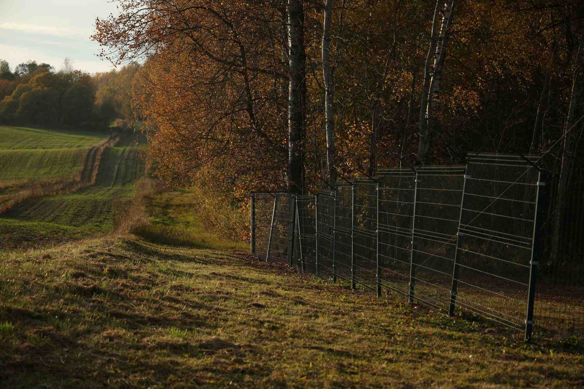 Cloture frontaliere avec la russie au niveau du corridor de suwalki en pologne
