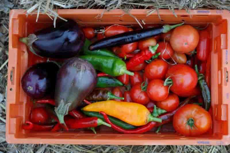 Une premiere etape pour le projet de loi alimentation
