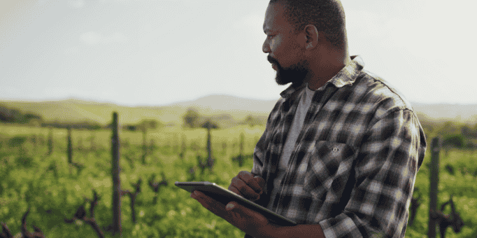 agritech cameroun