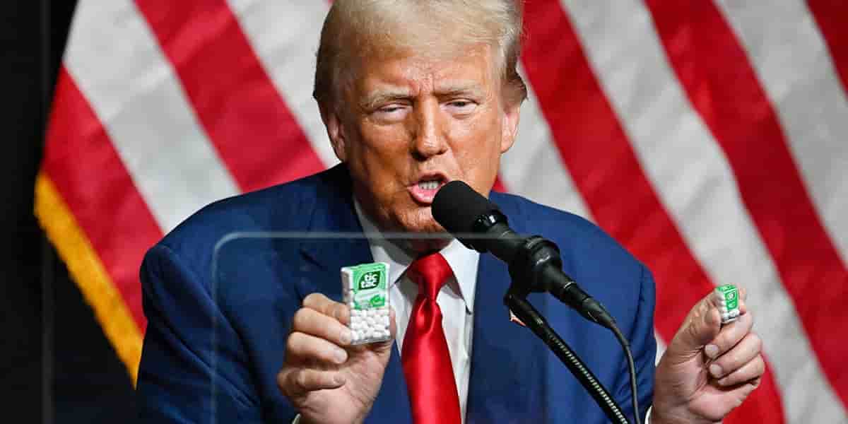 Pour le moment, Donald Trump n'a fourni aucune précision quant à la teneur exacte du projet, appelé « The DeFiant Ones ».