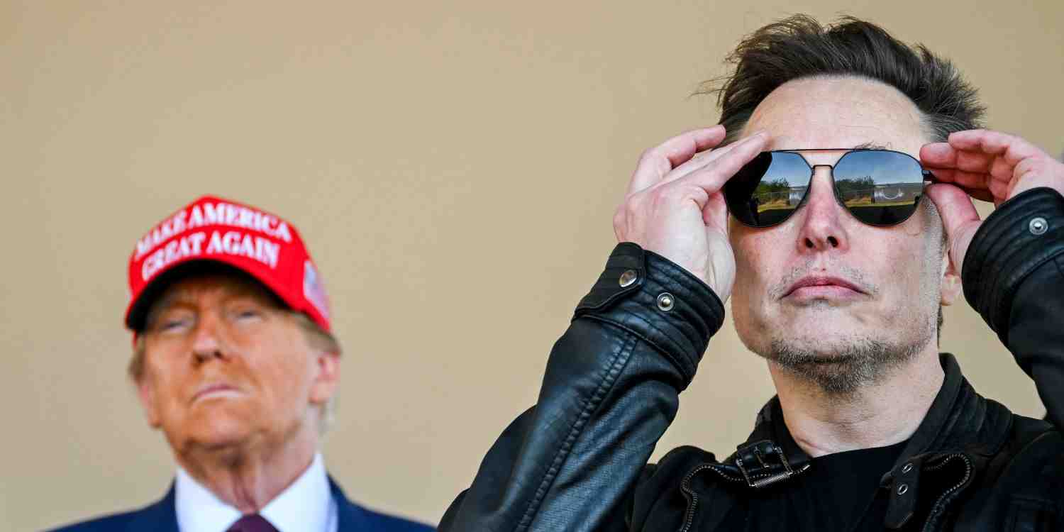 Elon Musk, le propriétaire de X, est un fervent défenseur des partis d'extrême droite.