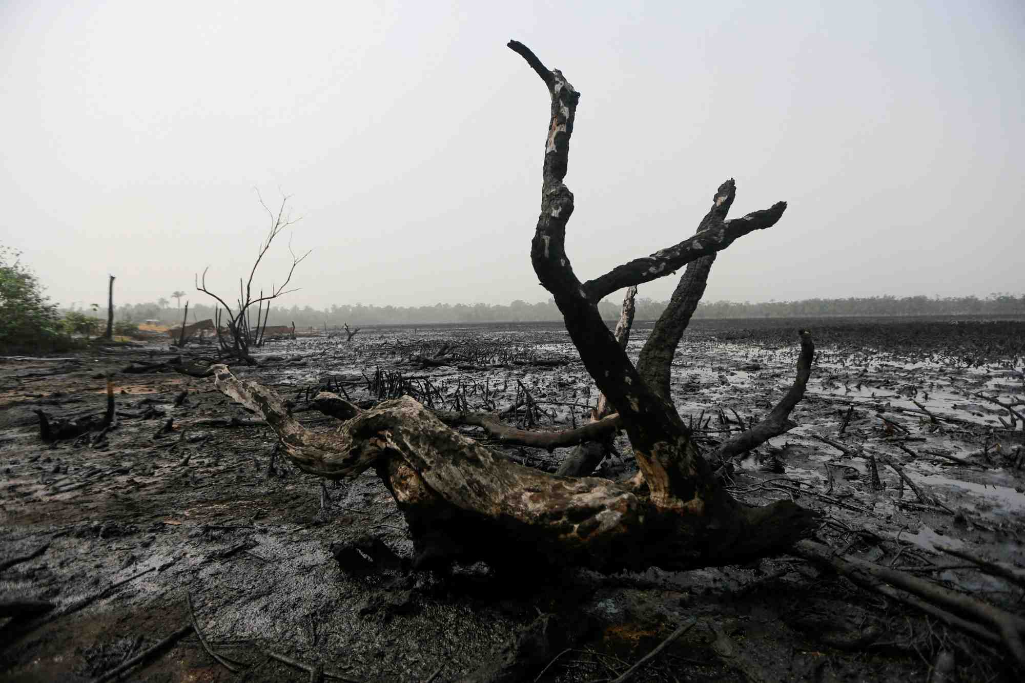 La pollution tue 9 millions de personnes par an dans le monde, selon une etude