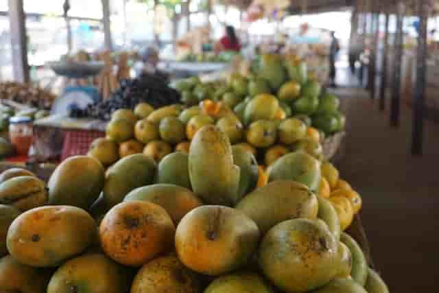 La région du Grand Bassam est l’une des principales zones de culture de la mangue et de l’ananas en Côte d’Ivoire.