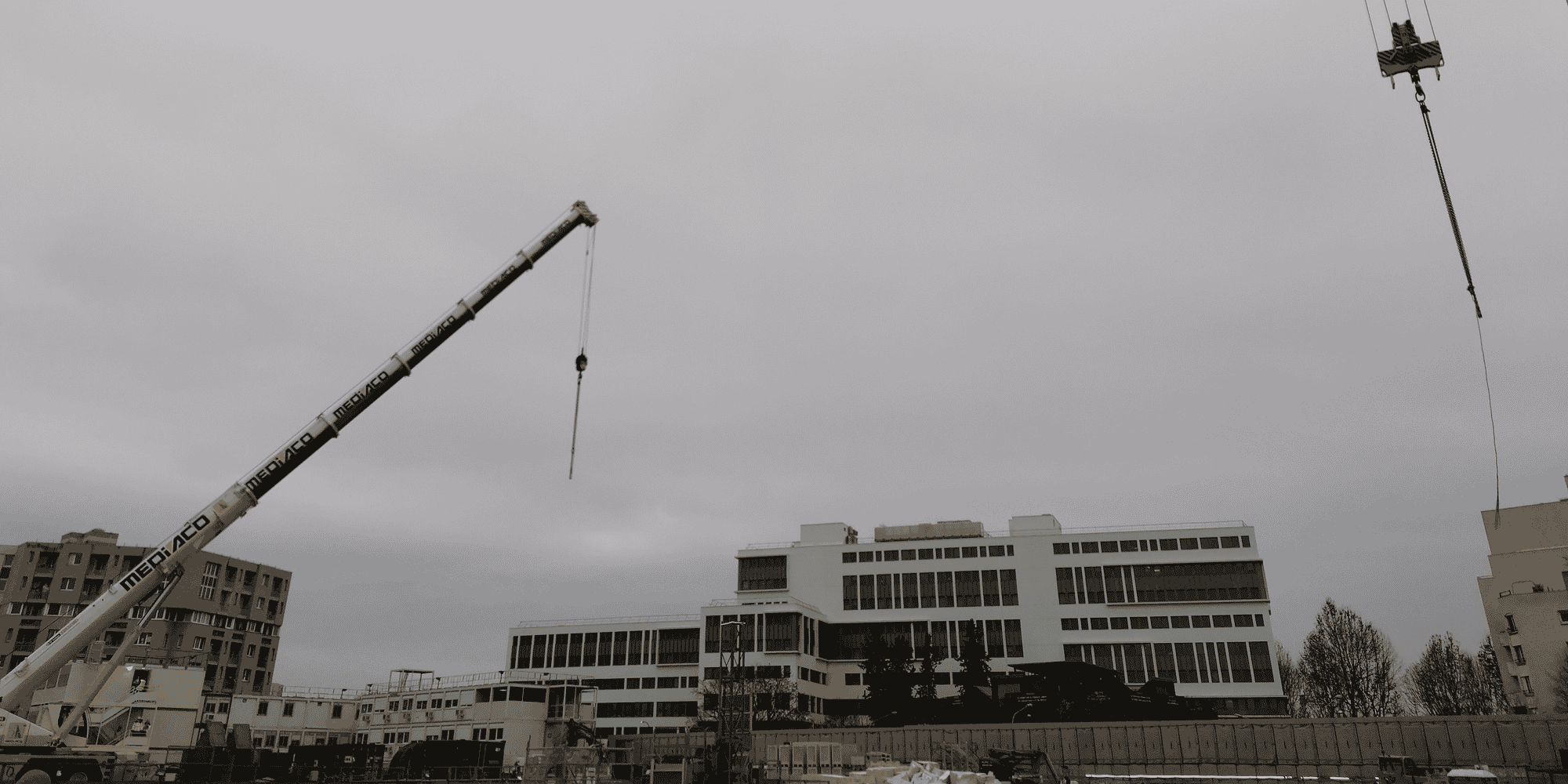 Grues