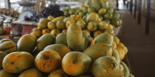 mangue