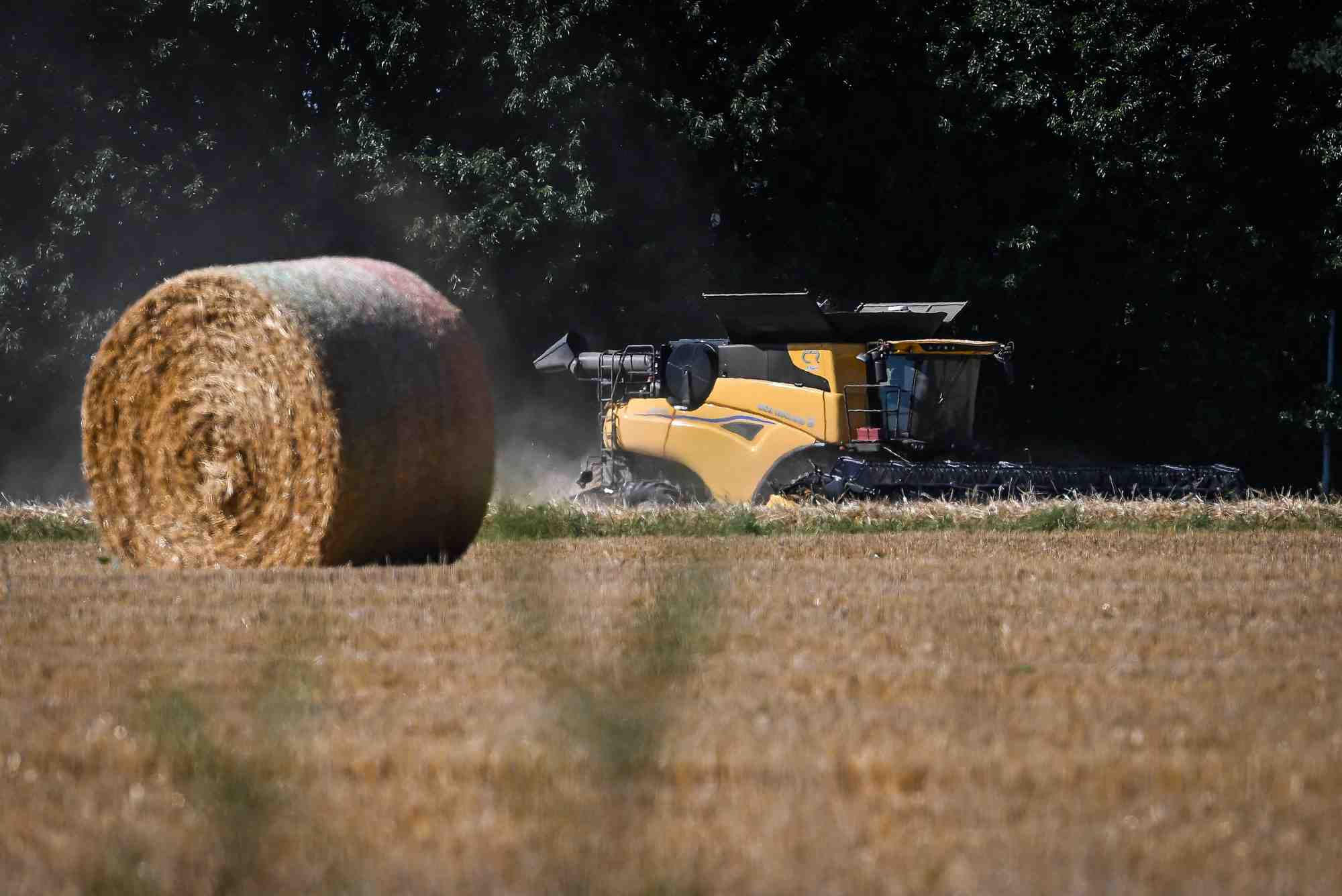 « Les cours internationaux ont continué de chuter. Pour le blé et le maïs, ils sont passés depuis longtemps sous le seuil de 200 euros la tonne. Les producteurs sont ainsi payés en dessous de leur coût de revient… », analyse Benoît Piétrement, président d’Intercéréales. (Photo d’illustration.)