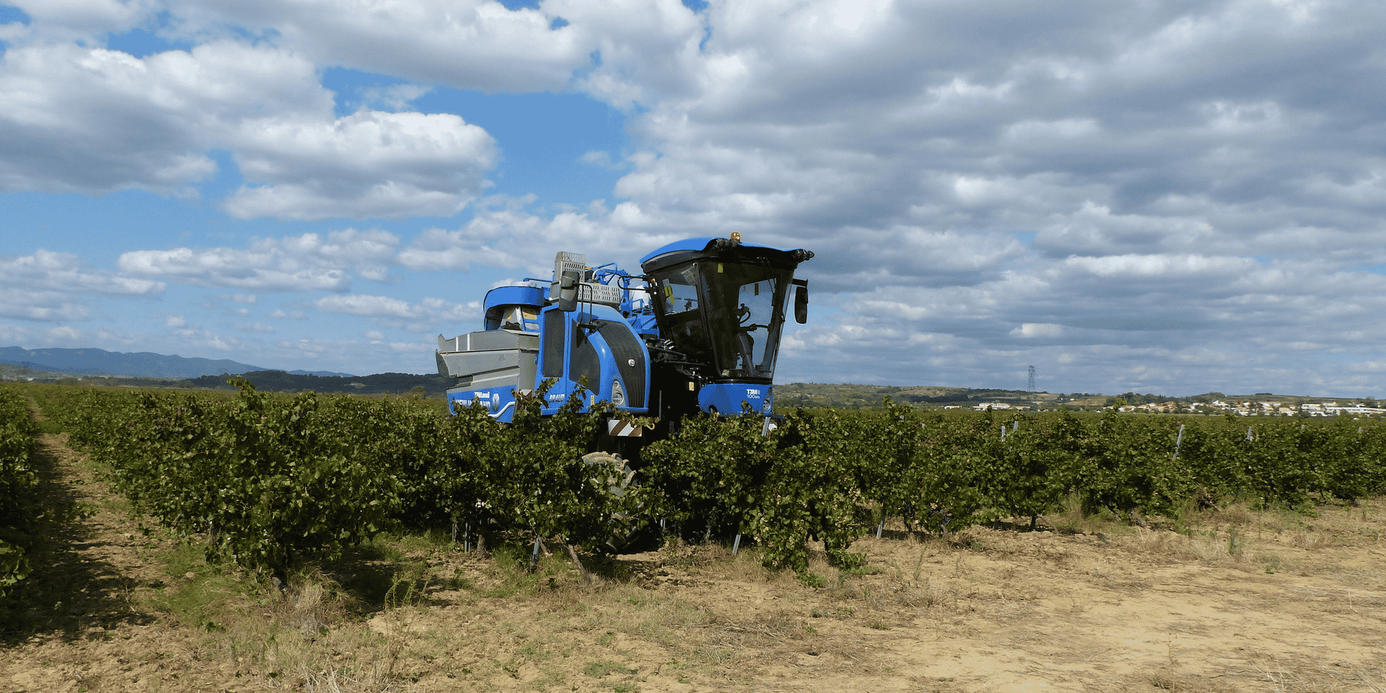 Dans ses prévisions, Agreste, le service statistique du ministère de l'Agriculture, table sur 10,6 millions d'hectolitres de récolte en Languedoc-Roussillon (pour une moyenne quinquennale 2019-2023 de 11,6 millions d'hectolitres).