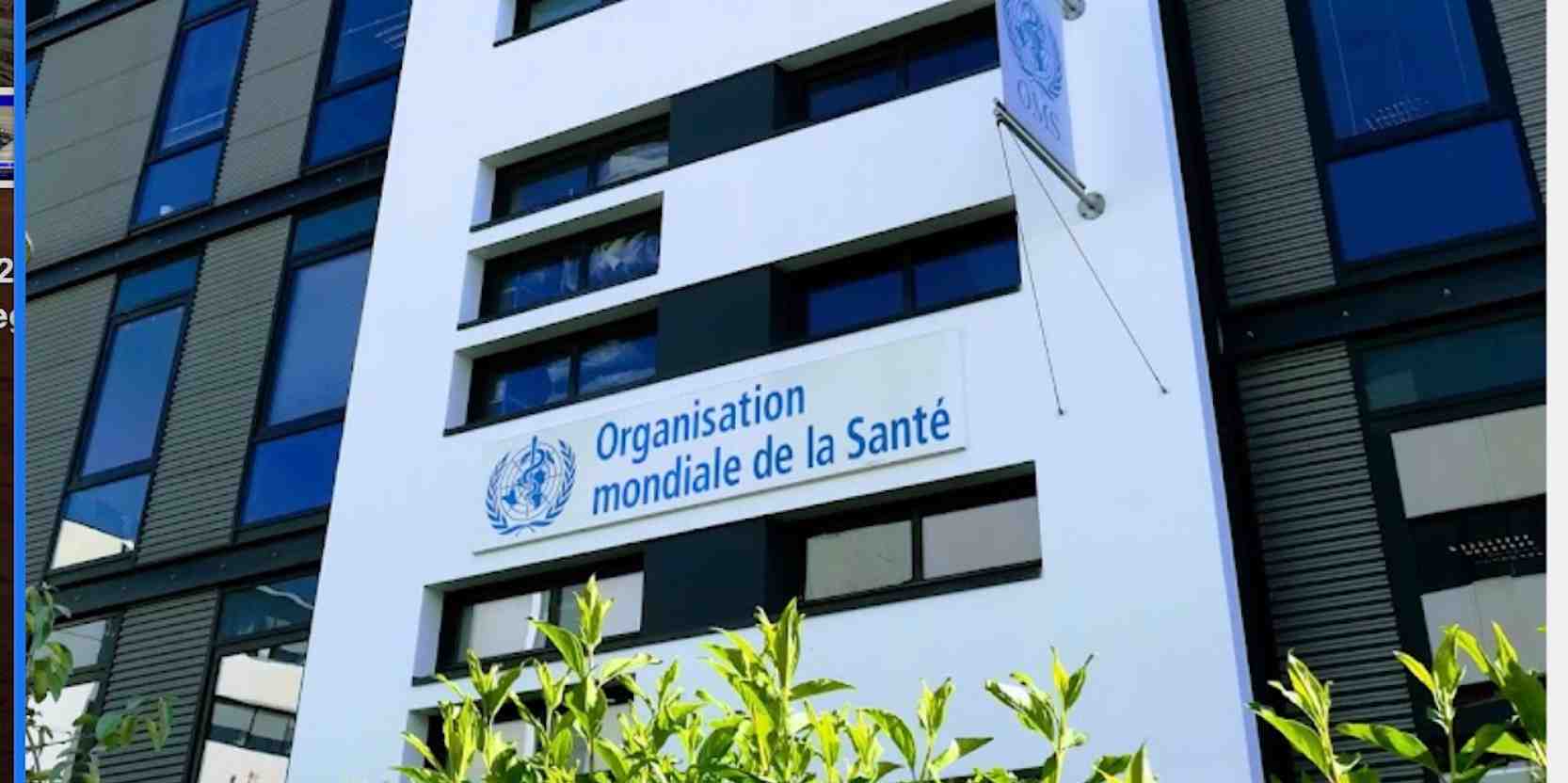 Implantée au coeur du Biodistrict, à Lyon, l'Académie de l'OMS a pour ambition de former trois millions de professionnels et gestionnaires de santé du monde entier d'ici à 2028.