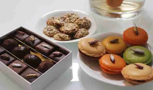 chocolat insectes