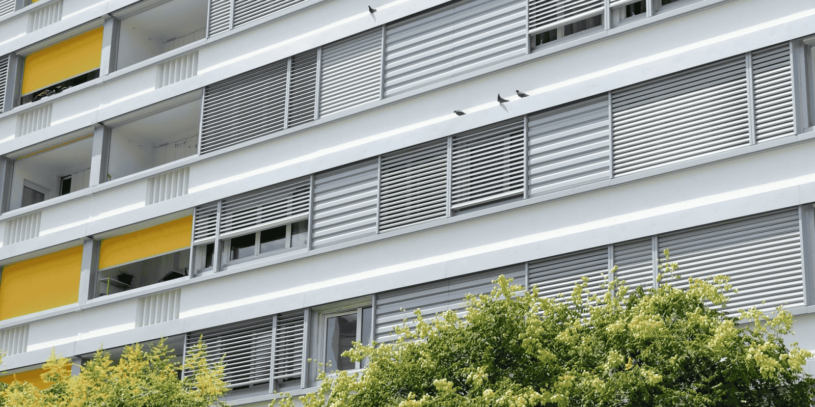Brises soleil en aluminium premium et stores bananes jaunes pour les loggias sont les marques les plus visibles de la transformation.