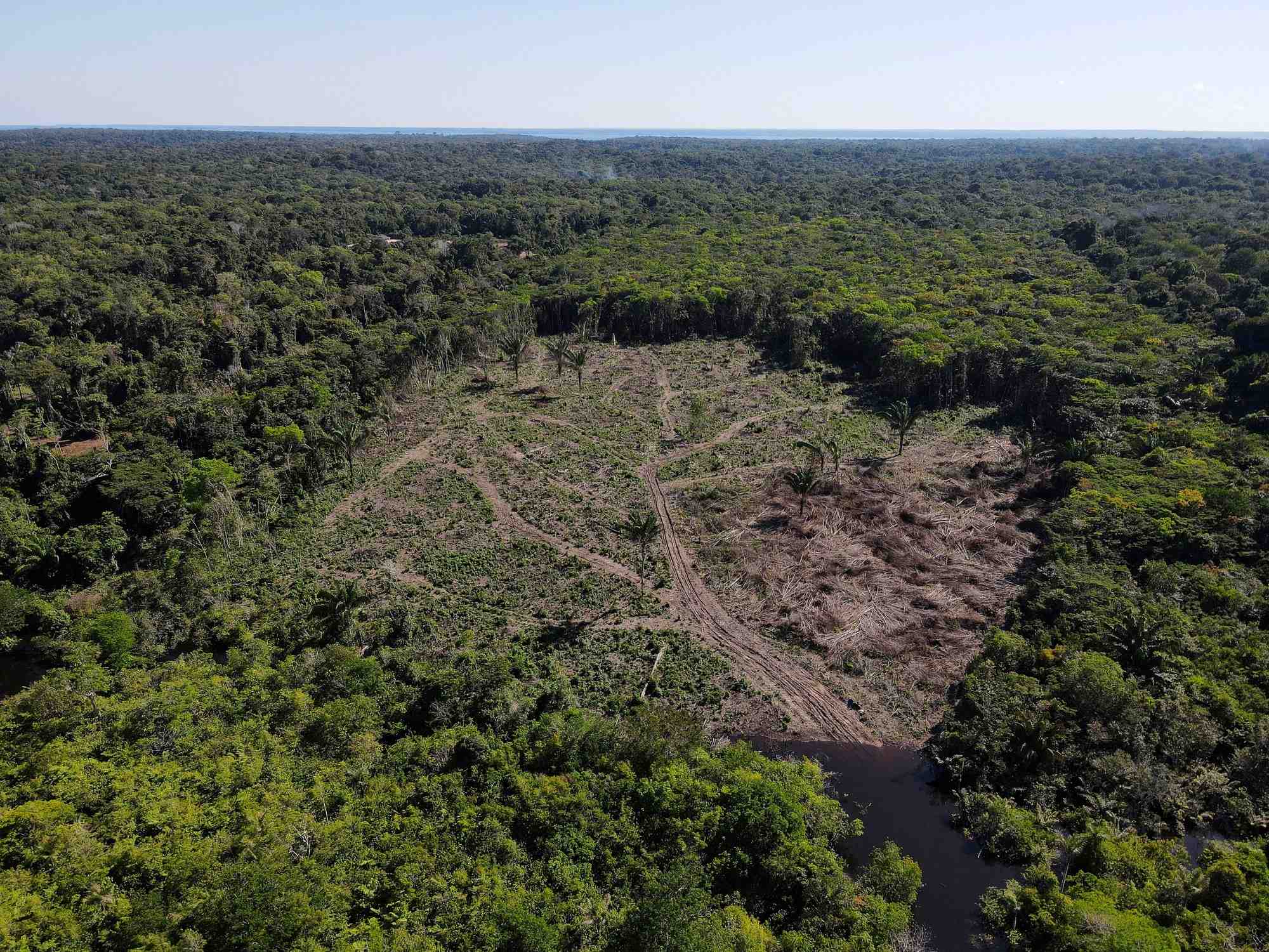 Vue aerienne montre la deforestation dans la foret amazonienne a manaus, au bresil