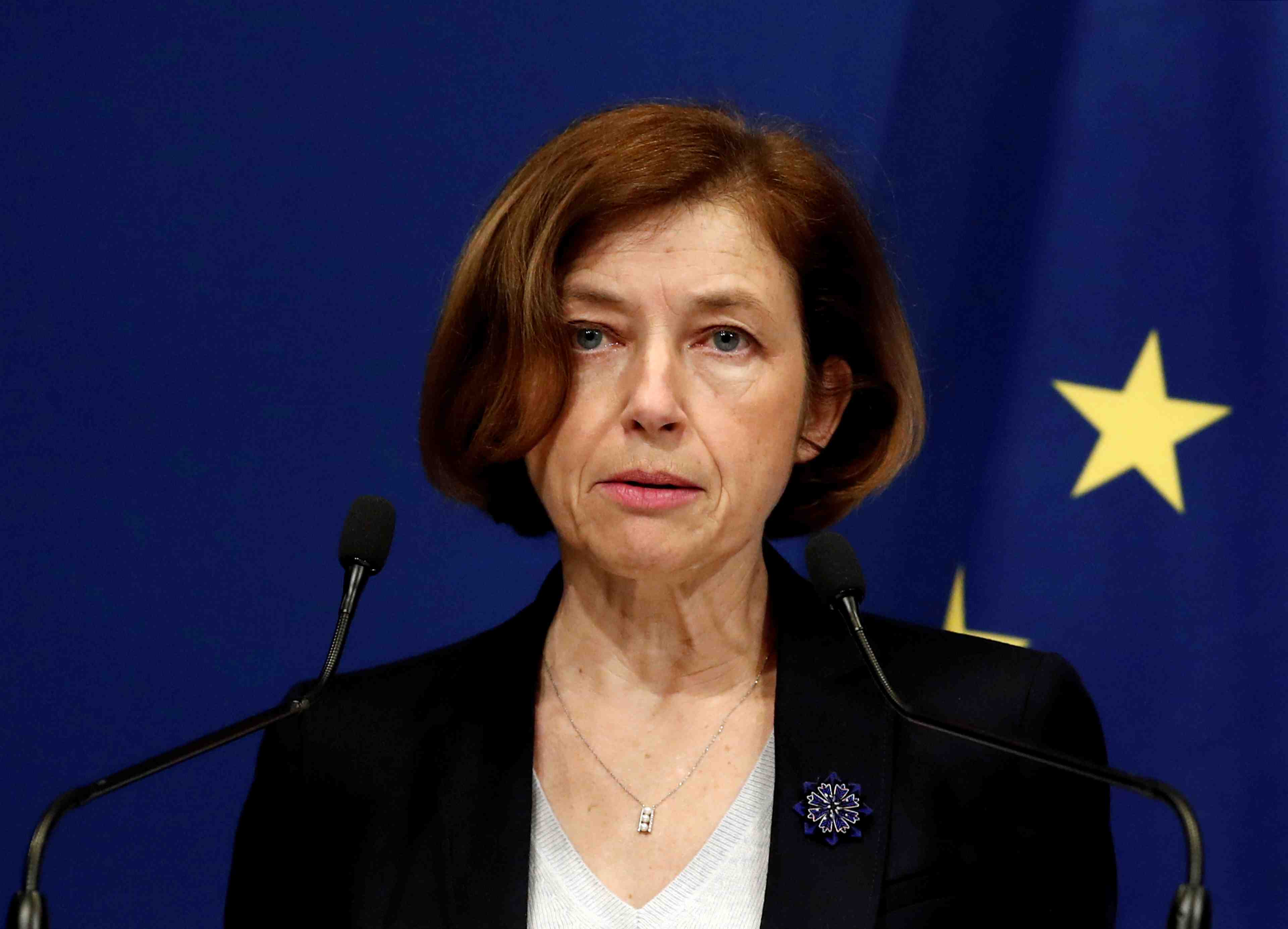 La suede et la norvege vont rejoindre l'iei, dit parly