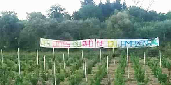 Lors d'une manifestation anti-Amazon dans le Gard
