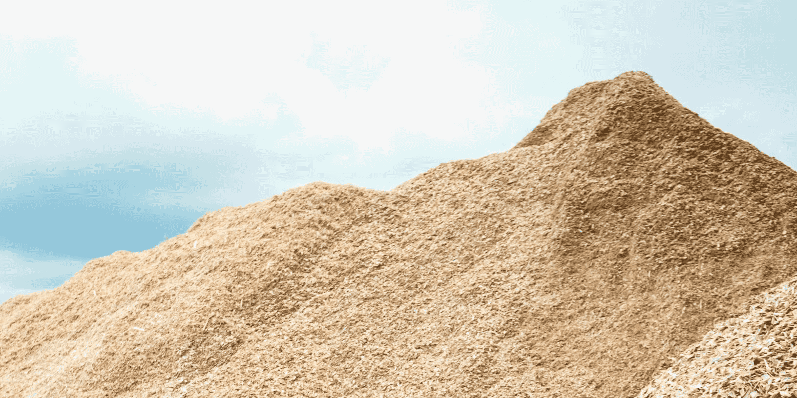 A partir de coproduits de scieries, Isonat fabrique 19.000 tonnes de panneaux de bois isolants. Dans deux ans, ce sera 42.000 tonnes.