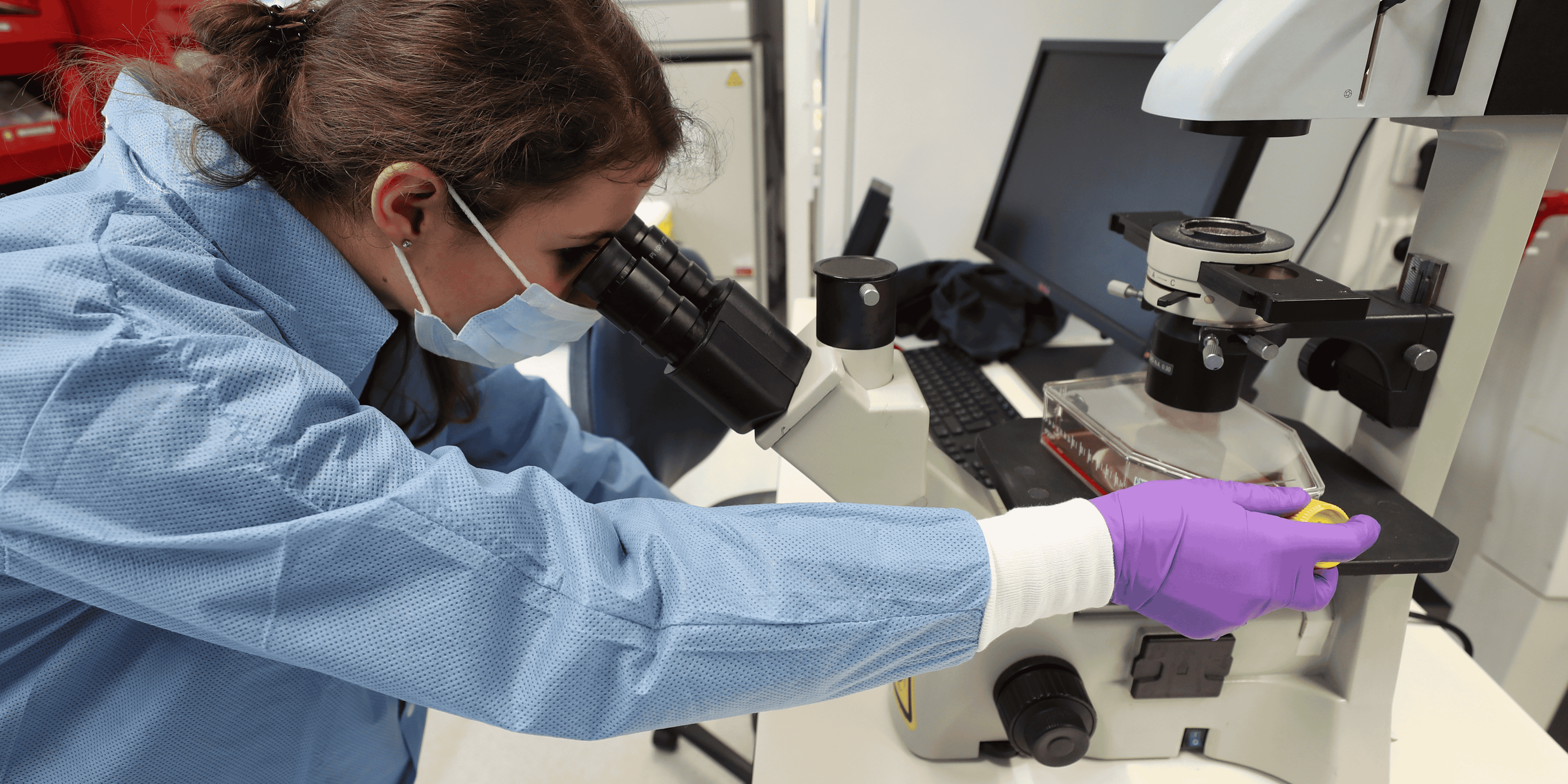 Des chercheurs travaillent à trouver un traitement contre le nouveau coronavirus/Covid-19