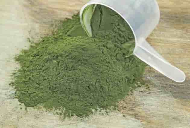 spiruline