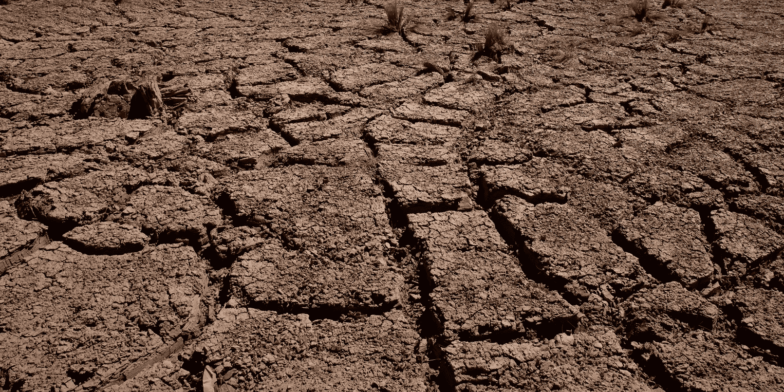 Comment réussir à modéliser ce qui semble impossible à anticiper ? Avec, parmi les principaux risques climatiques à venir au cours des prochaines années, la sécheresse, qui inquiète particulièrement les experts. Des questions auxquelles vont tenter de répondre l'EmLyon et le groupe Groupama RAA, dans le cadre de la chaire « Risque Climatique et Assurance Dommage ».