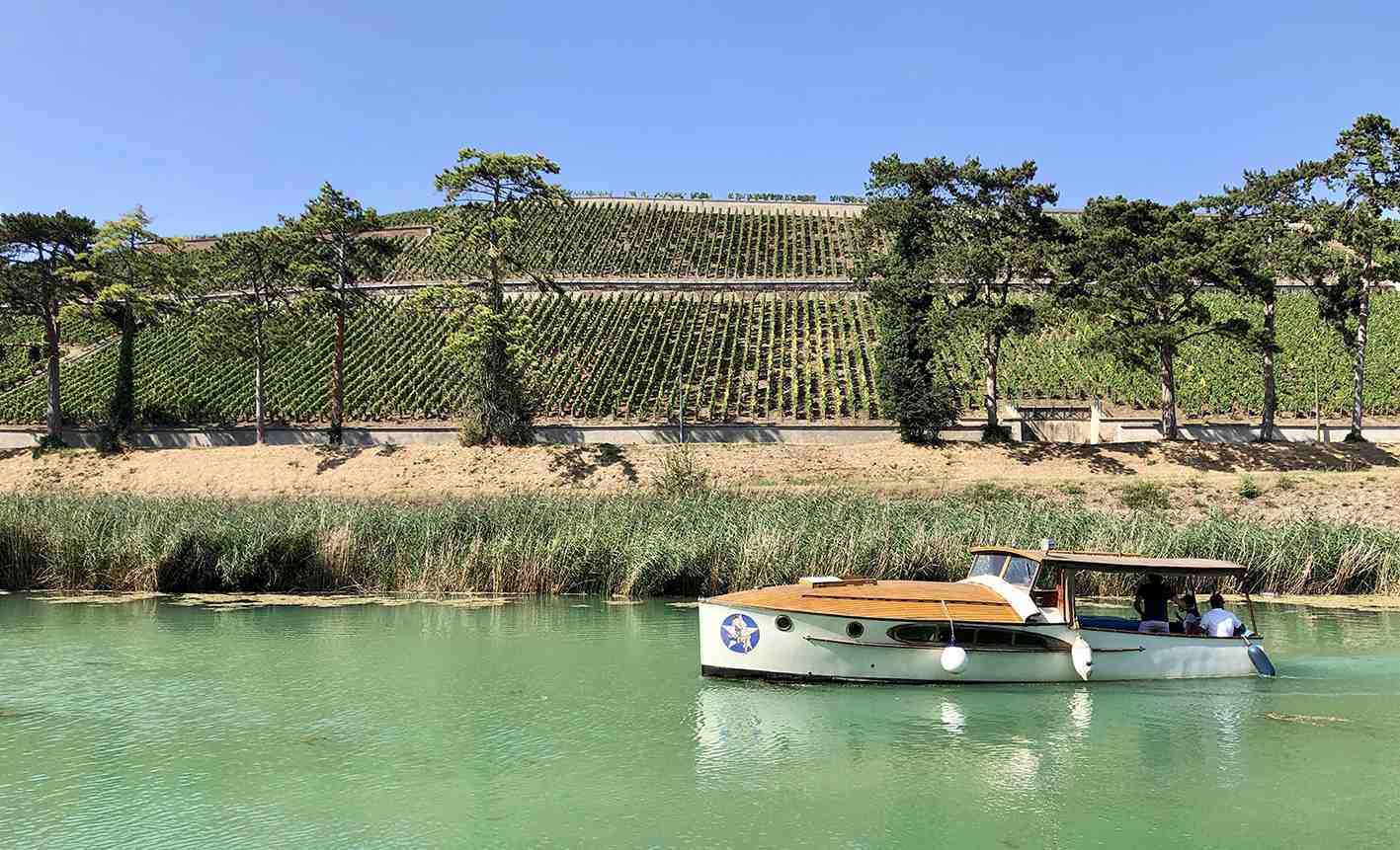 Tourisme viticole sur la Marne, à Mareuil-sur-Ay.