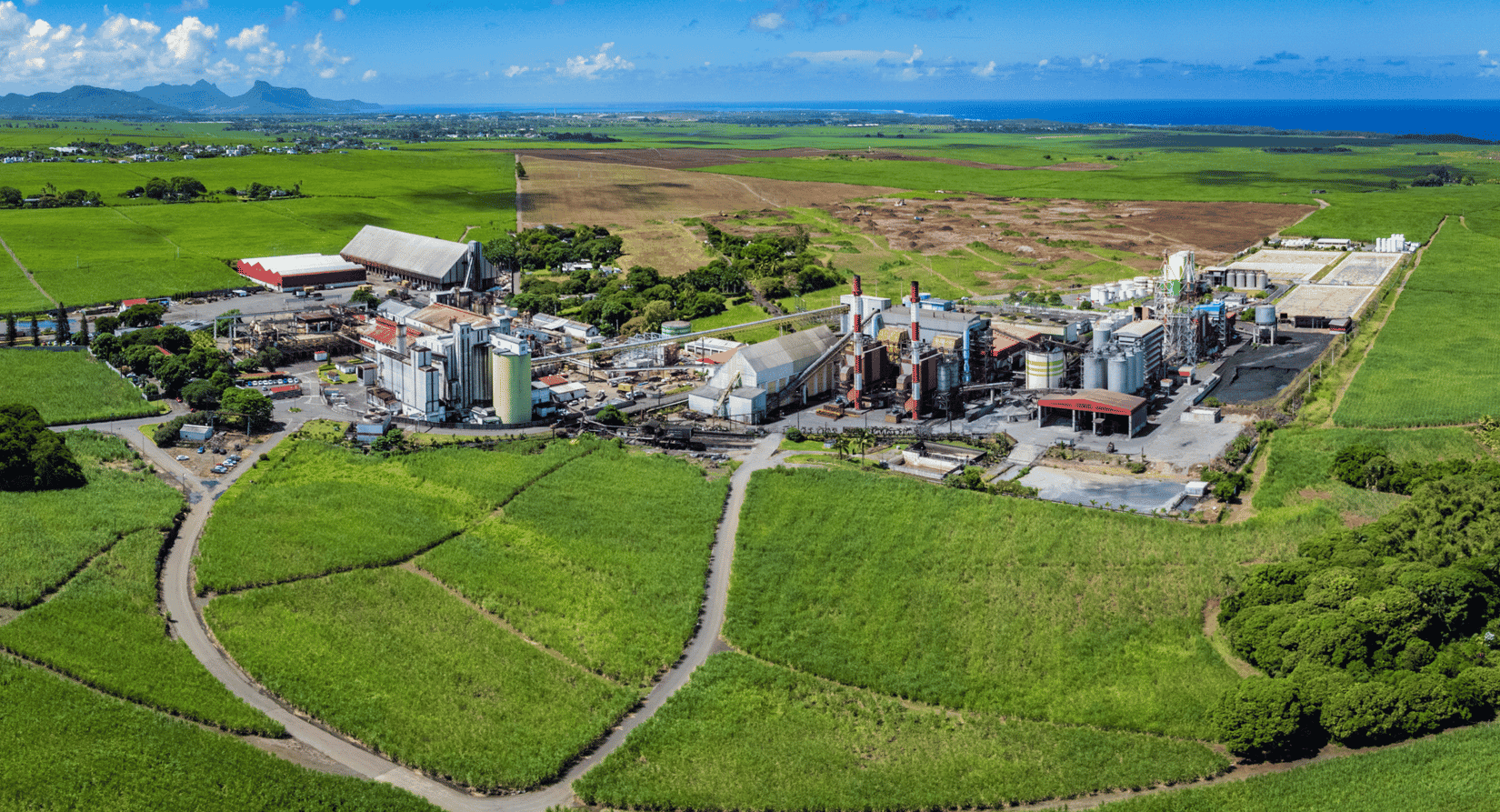 Ce projet dans la cosmétique est une diversification vitale pour l'exportateur de sucre de l'île.