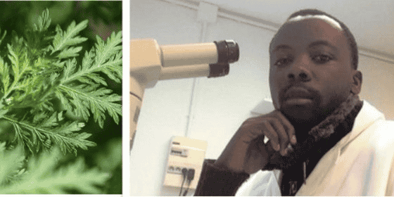 Responsable des essais cliniques et recherches médicales et scientifiques à La Maison de l’Artemisia à Paris, Dr Jérôme Munyangi est l'auteur du protocole qu'il a baptisé « Covid-Artemisia » qui a permis d'élaborer le Covid-Organics révélé par le président Rajoelina.