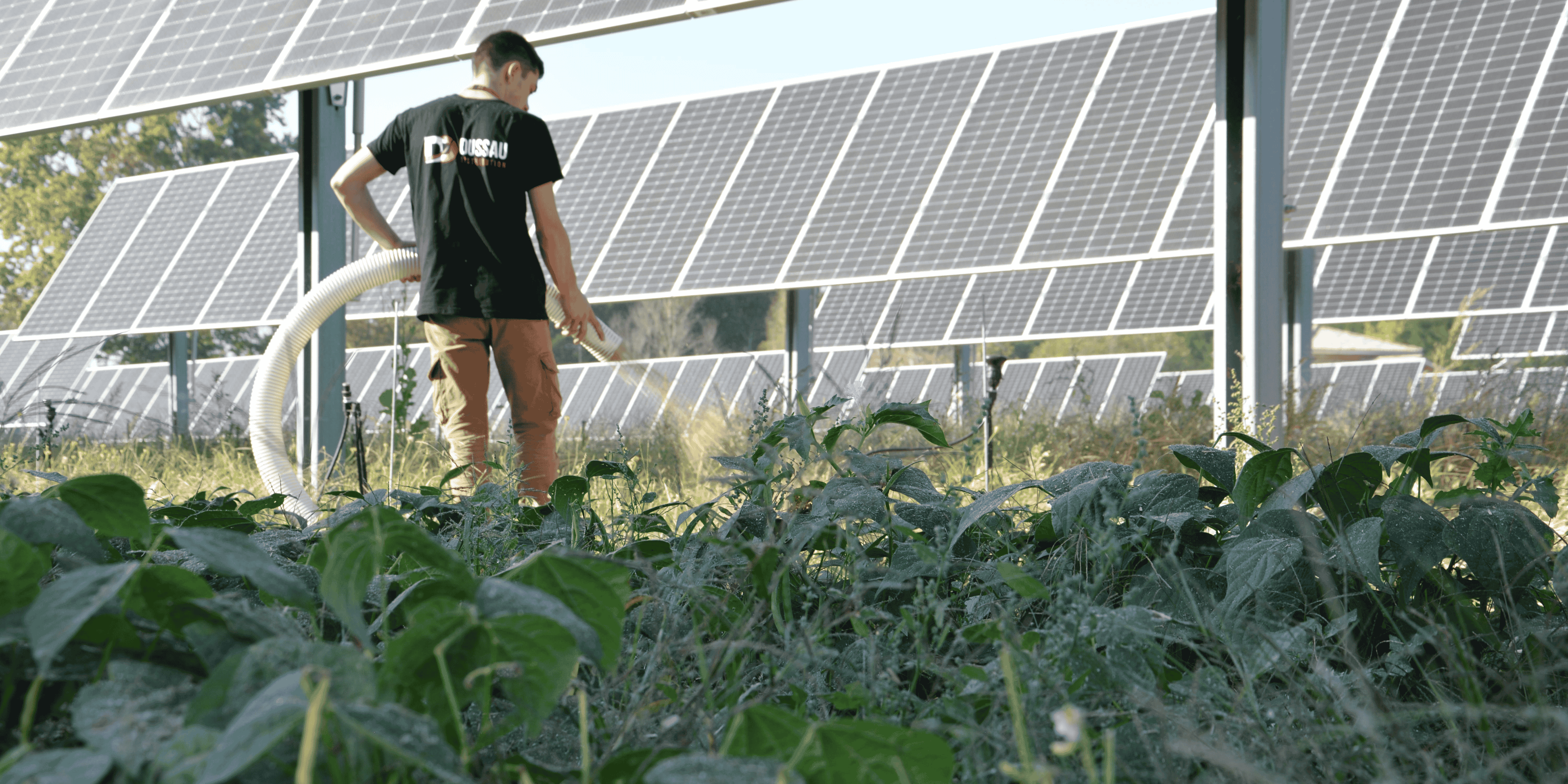 glhd landes agrivoltaïque solaire