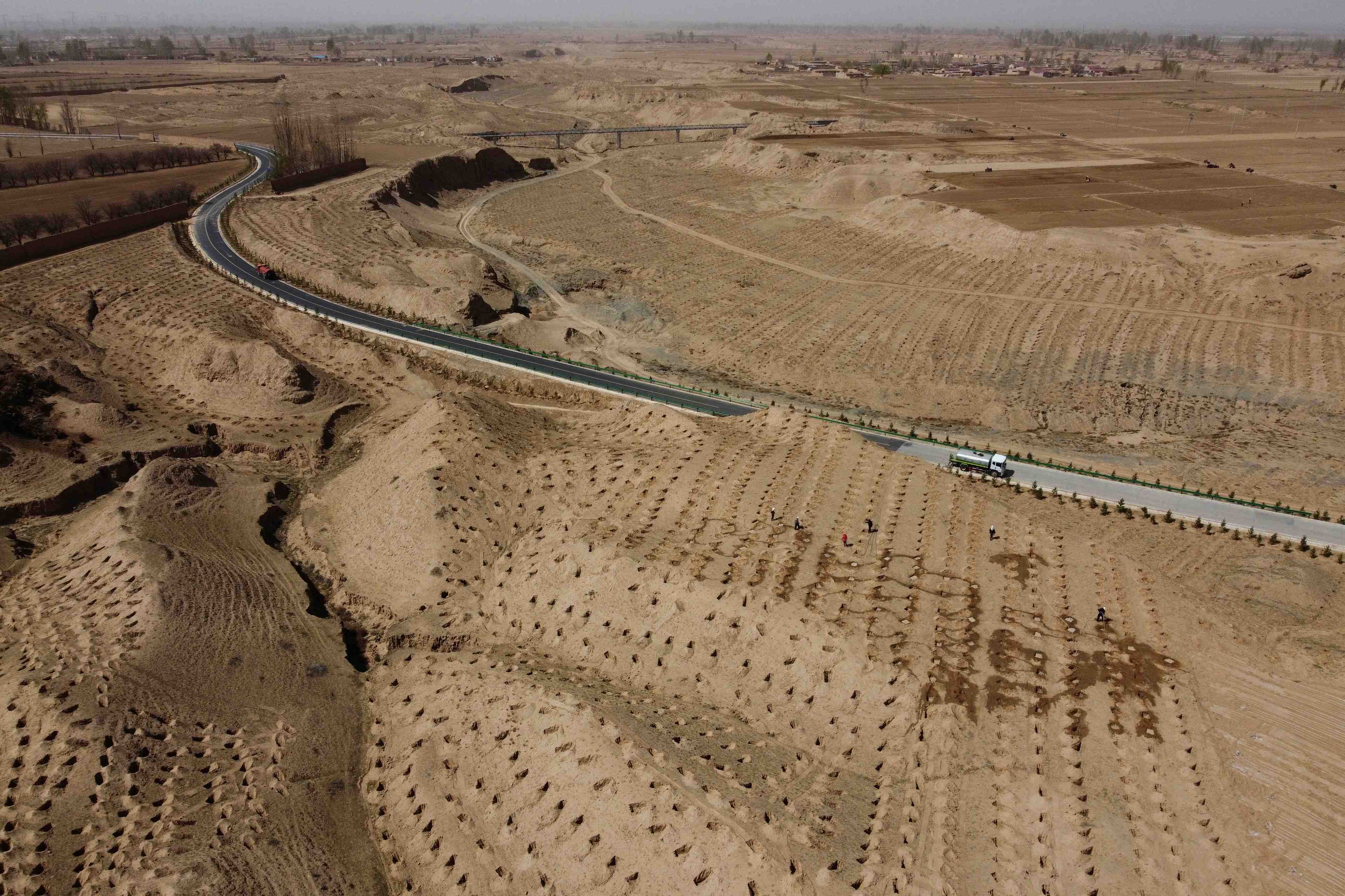 Climat: la chine va intensifier sa campagne de reforestation