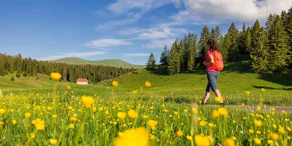 Une randonneuse dans les Hautes Combes.