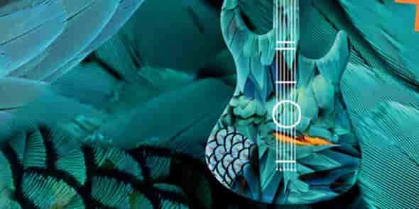 Affiche du Festival des Internationales de la guitare 2018