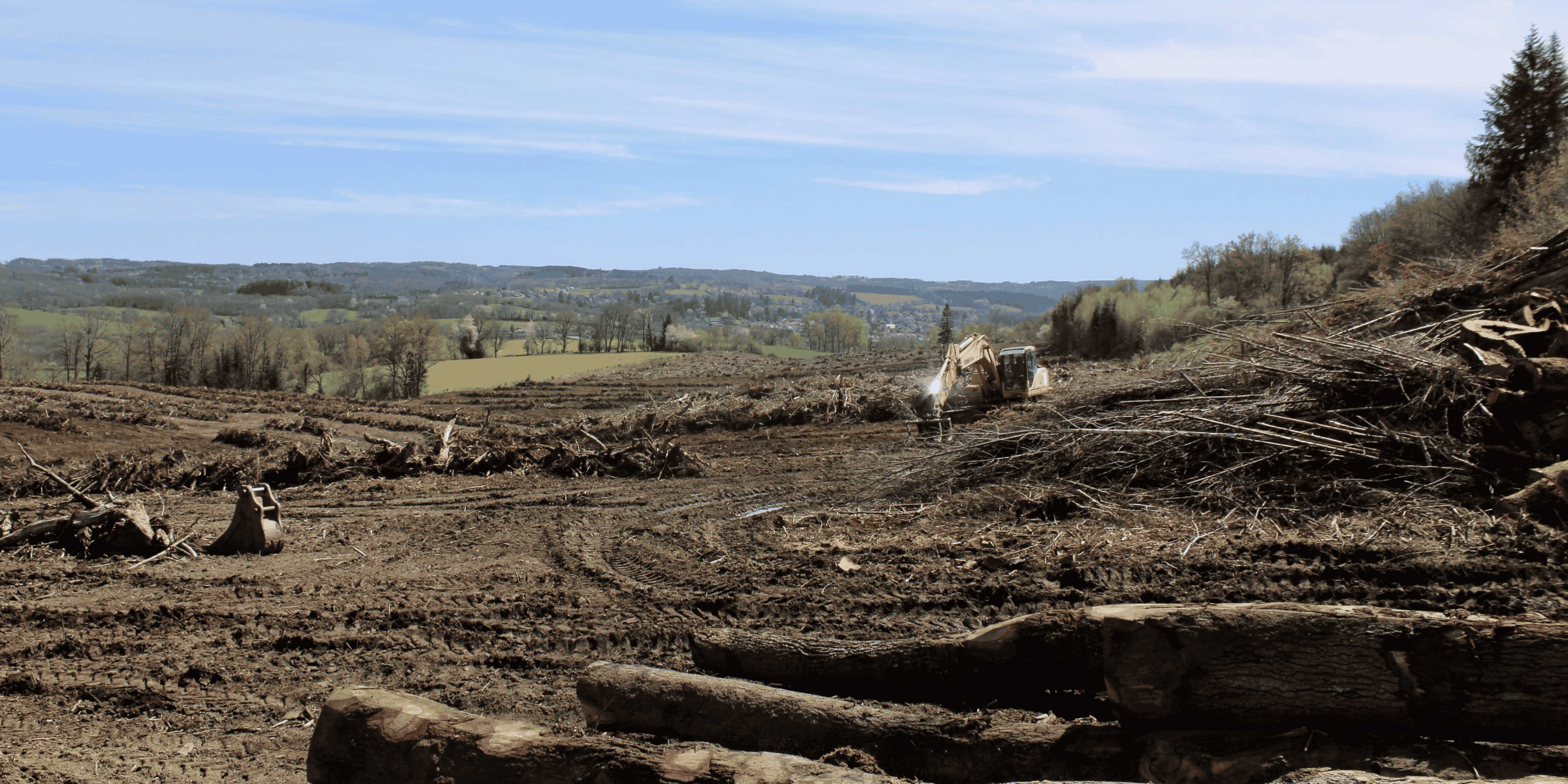 forêt coupe rase limousin bois