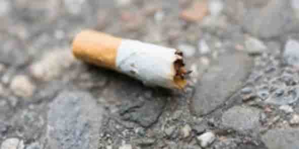 Mégot de cigarette