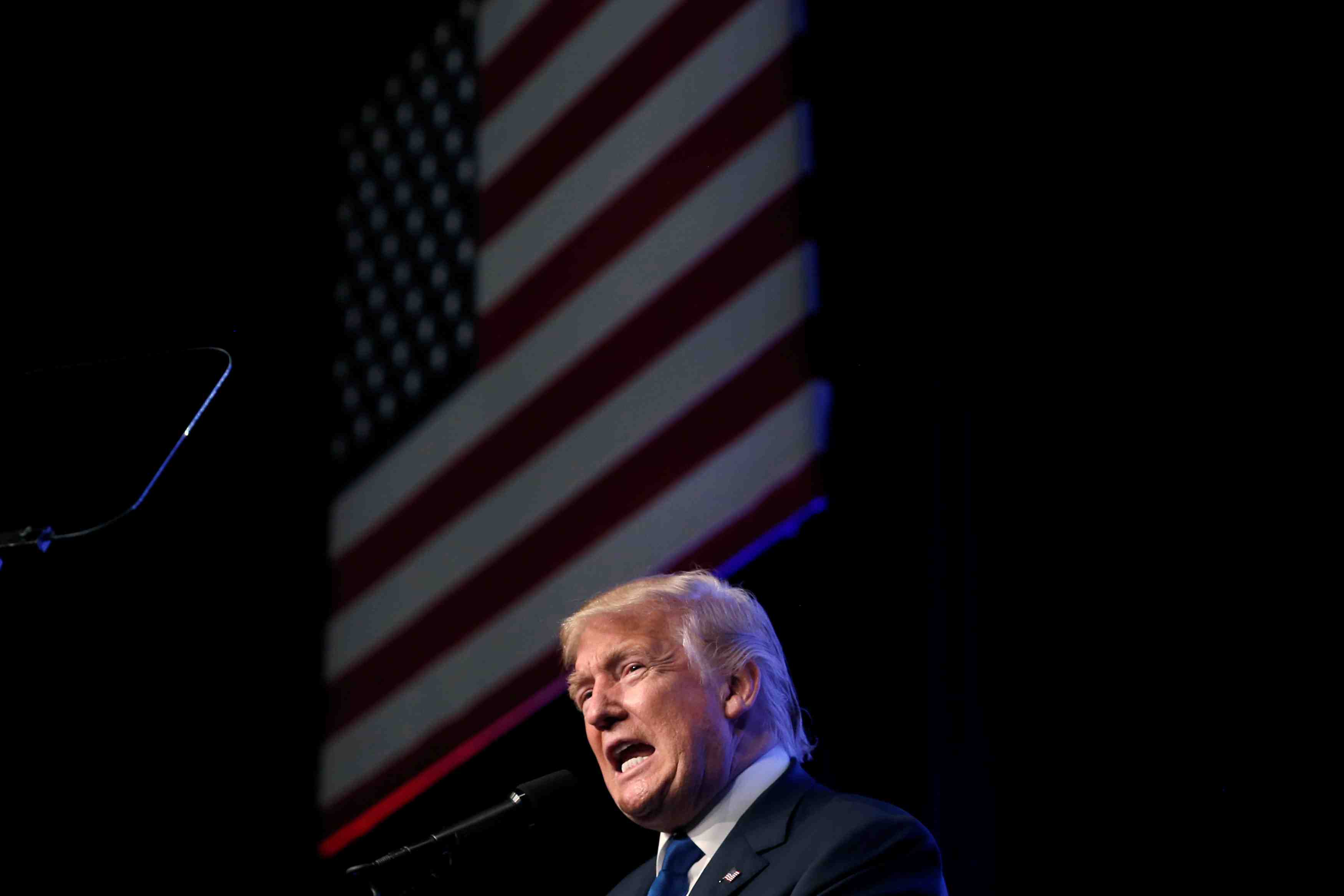 Donald trump souhaite desarmer les gardes de clinton pour "voir ce qui lui arrive"