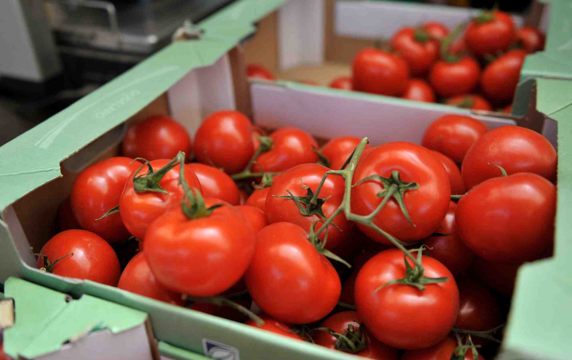 Tomates presentees a la vente sur un marche fermier dans la ville de hambourg, dans le nord de l'allemagne