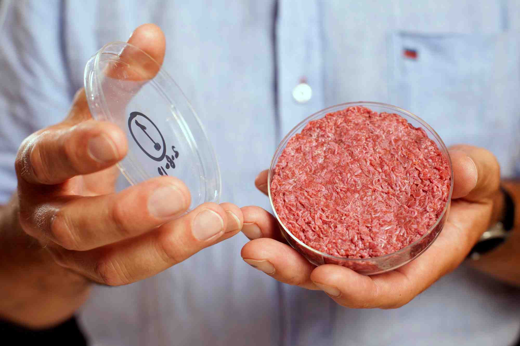 Le professeur Mark Post tient le premier steak haché de bœuf créé en laboratoire (viande in vitro) à Londres en août 2013