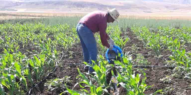 agriculture maroc