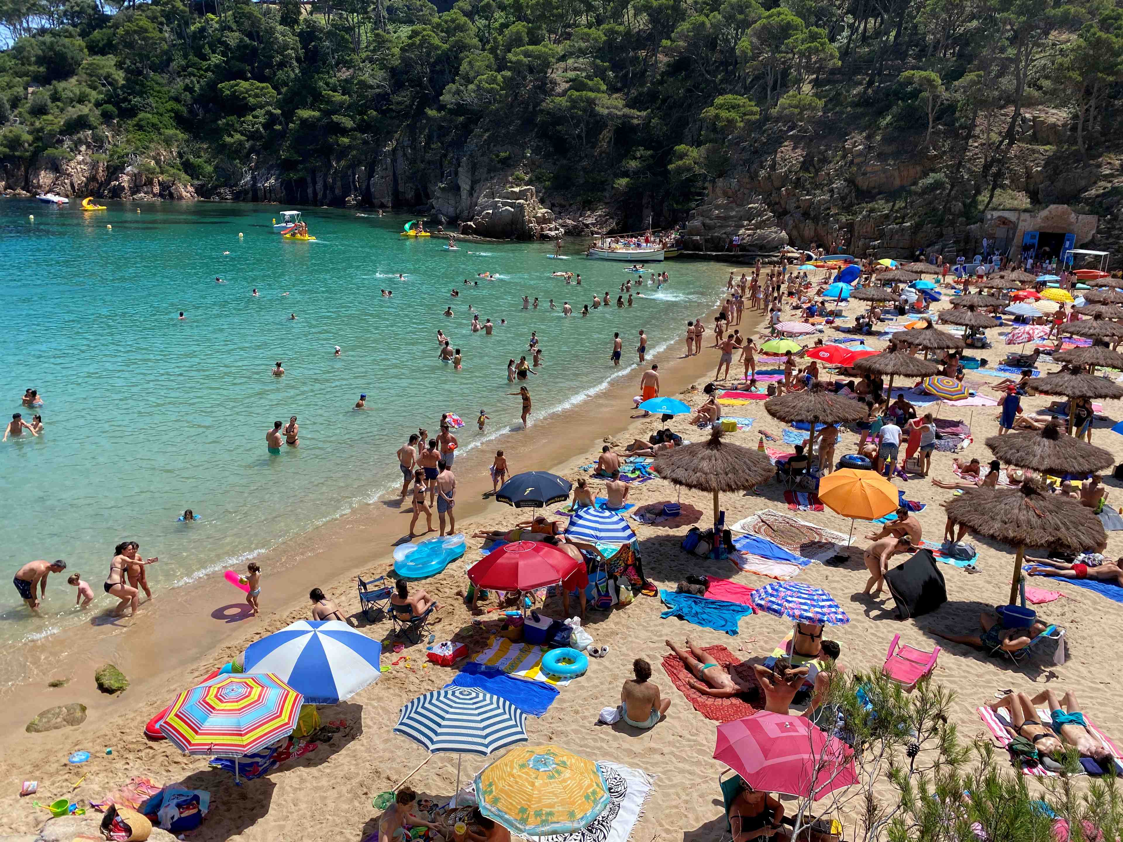 L'espagne recense 84 nouveaux cas de contamination au coronavirus