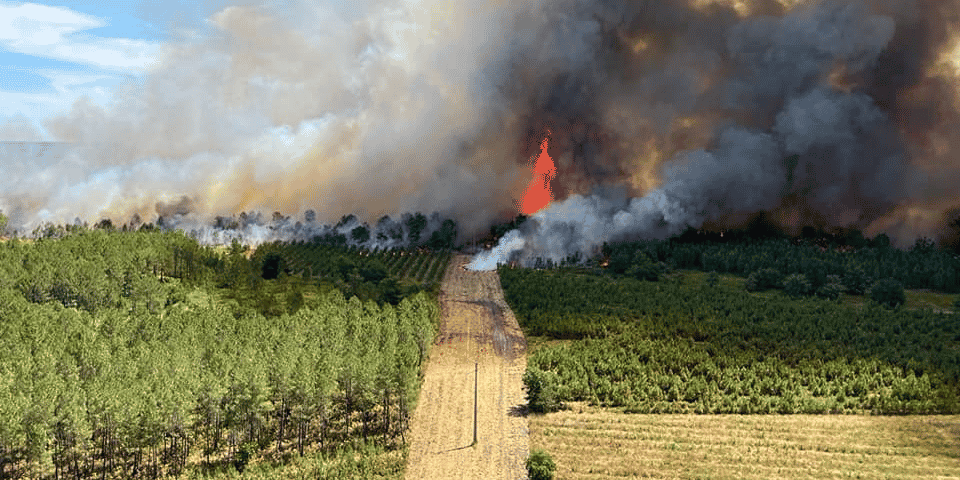 Incendie de Landiras. Reprise en août 2022