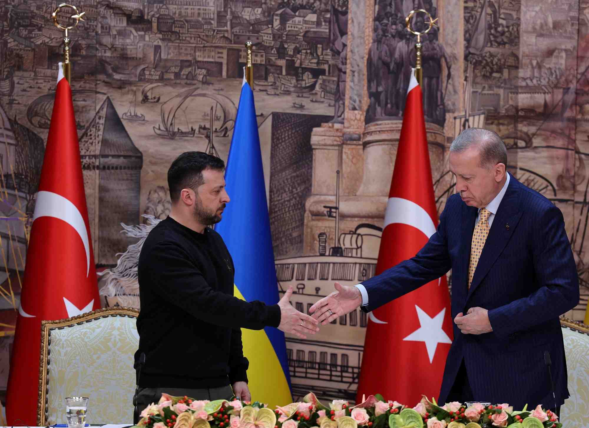 Le president turc erdogan et son homologue ukrainien zelensky a istanbul