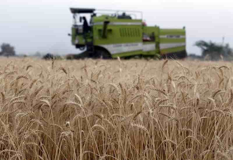Les prix alimentaires dans le monde a un creux de cinq ans
