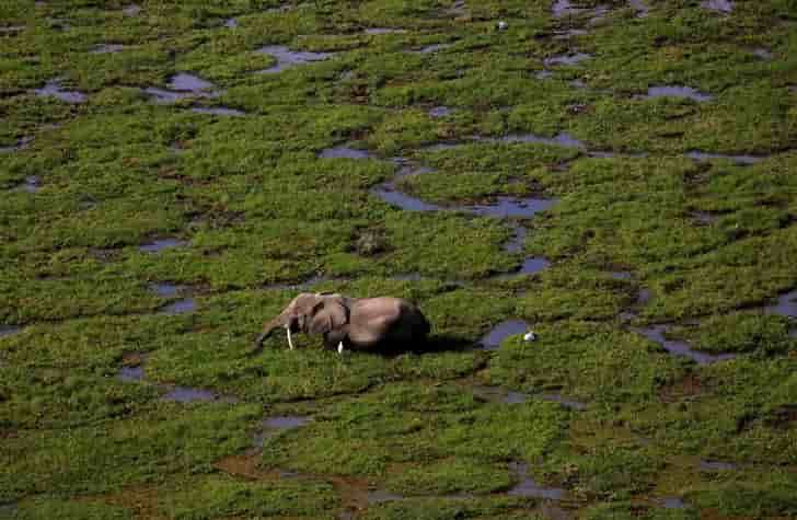 L'industrie menace un tiers des sites natures inscrits au patrimoine mondial de l'unesco