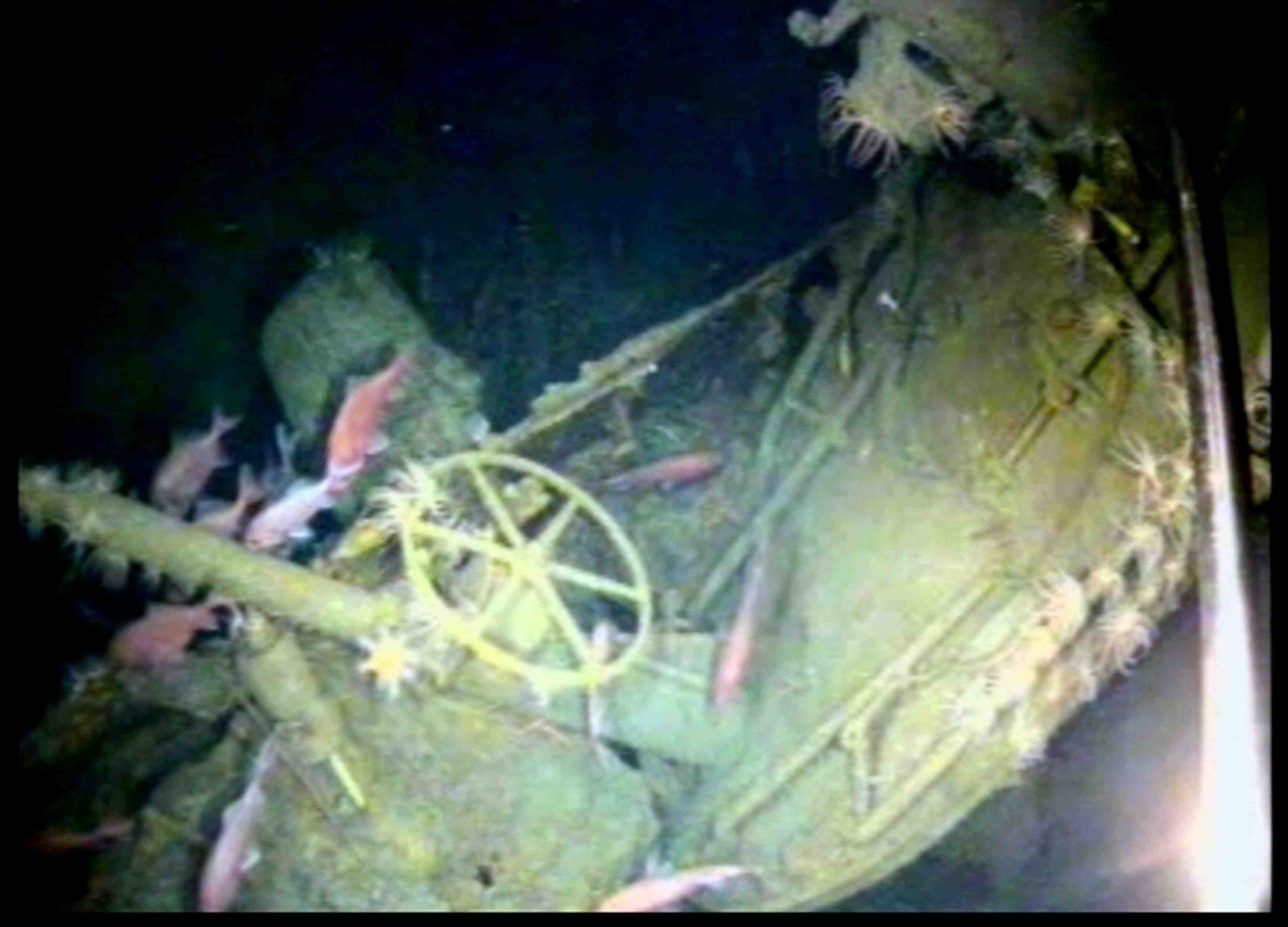Decouverte de l'epave d'un sous-marin australien disparu en 1914