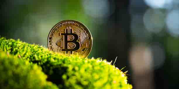 Litebit