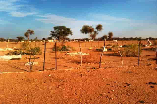 Mauritanie agriculture