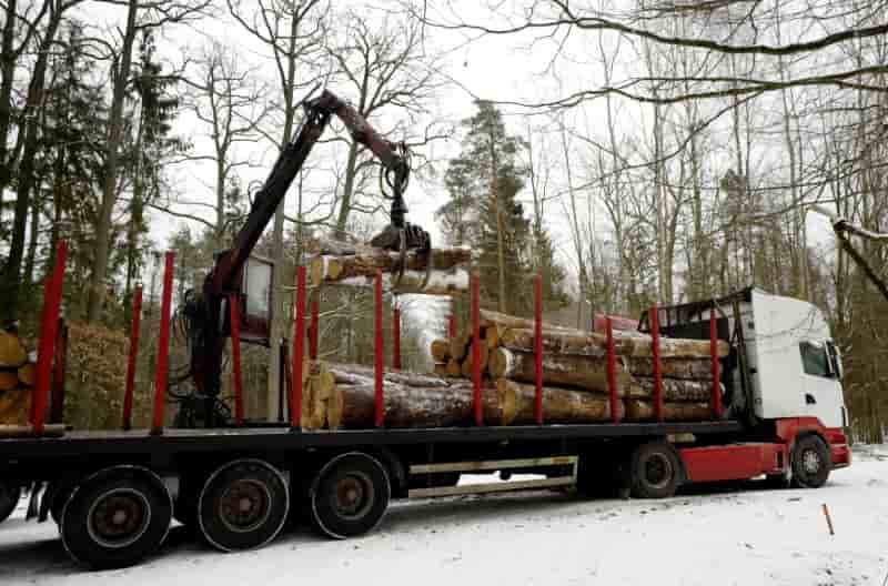 Foret de bialowieza: la pologne a enfreint le droit, juge la cjue