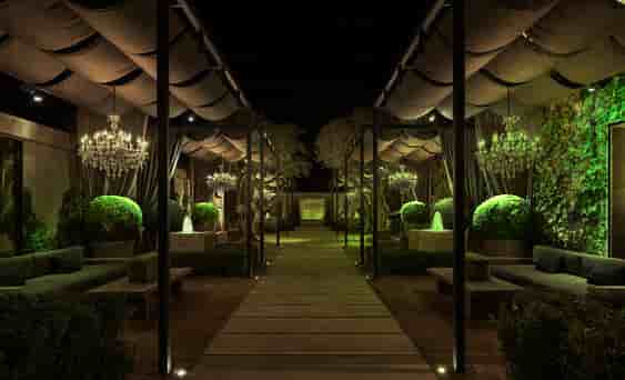 Woodlight